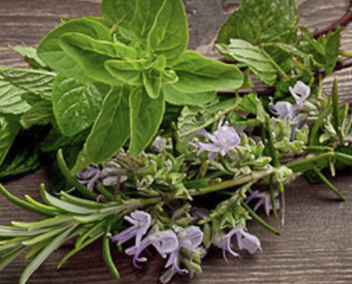 Erbe aromatiche