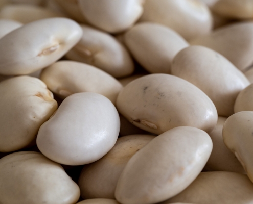 Fagioli