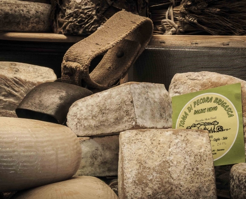 Toma di pecora brigasca